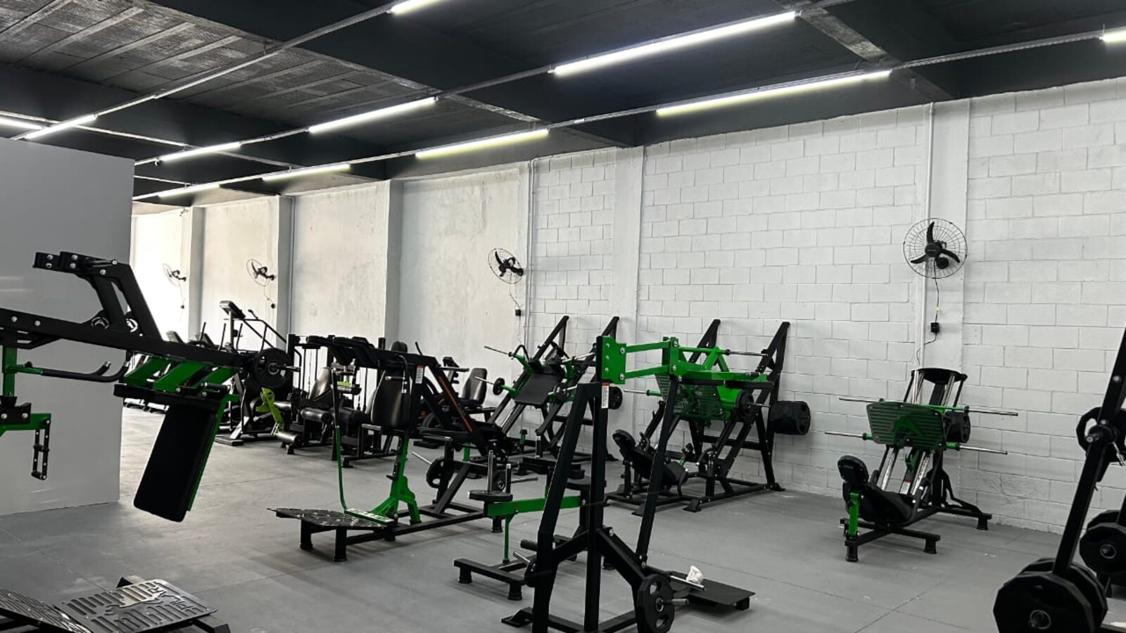 Área de musculação Zone Fit